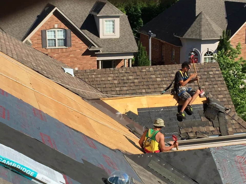 Two roofers on a steep roof laying new shingles over fresh plywood and underlayment